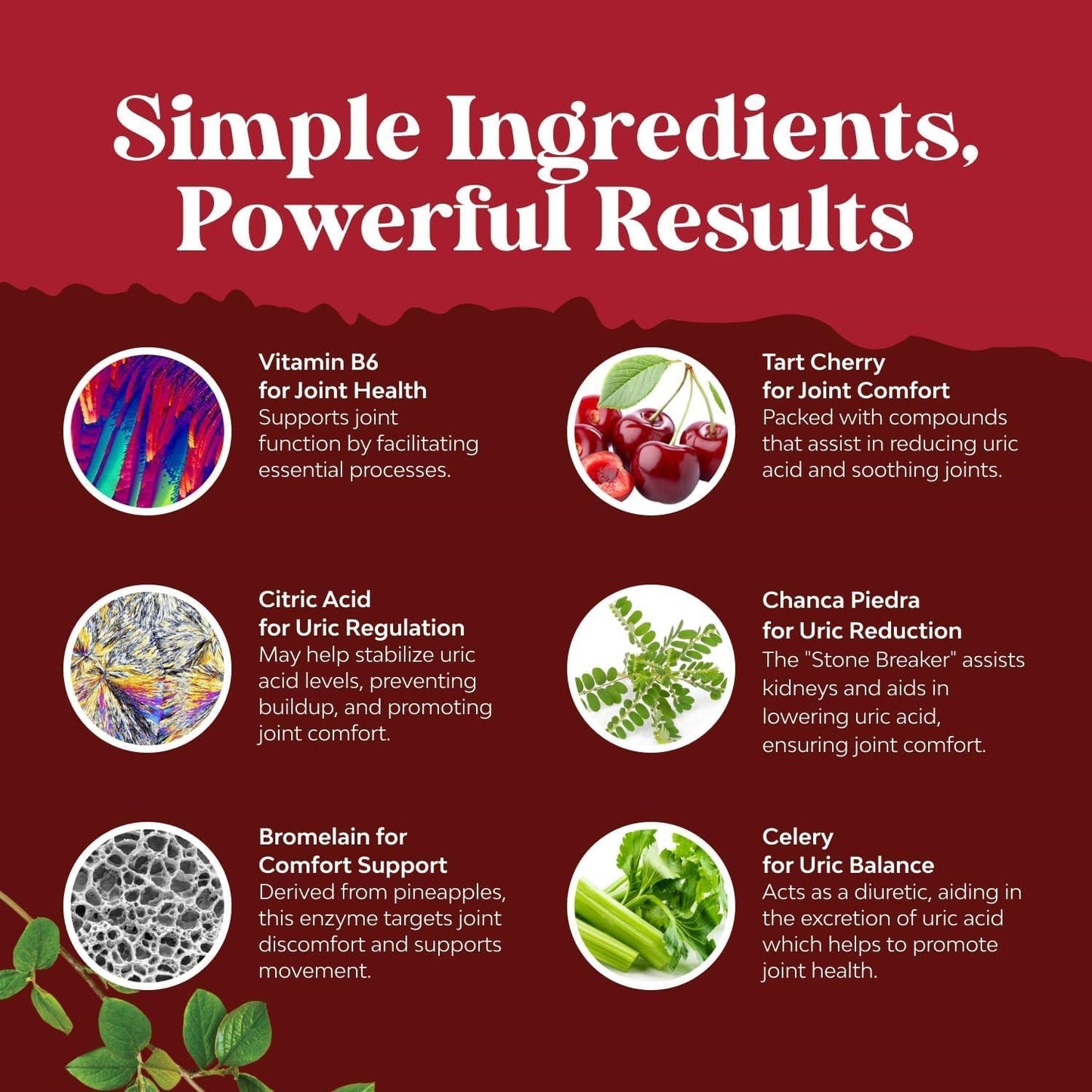 Uric Acid Support Capsule Count: 120